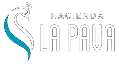 LOGO-HACIENDA-LA-PAVAx400
