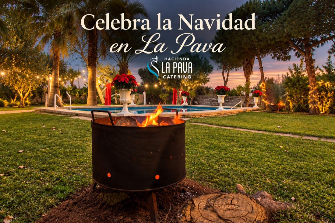 Cómo organizar tu celebración de Navidad este 2026: guía completa de catering